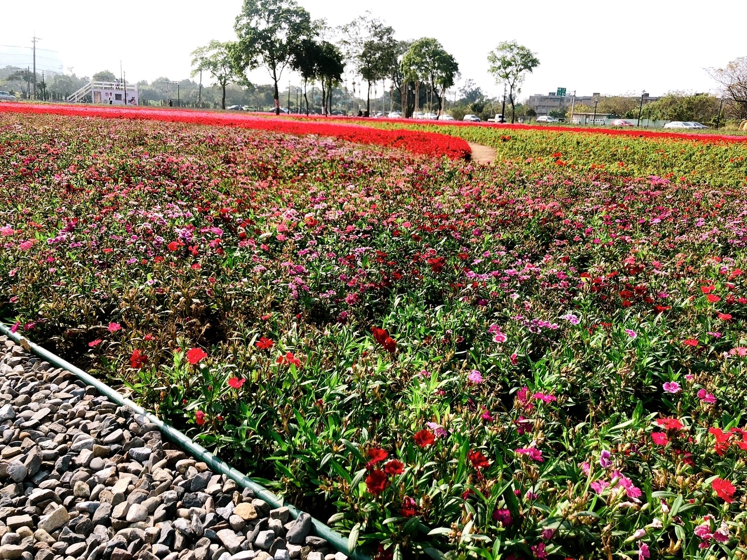客家公園,客家園區共融式遊戲場