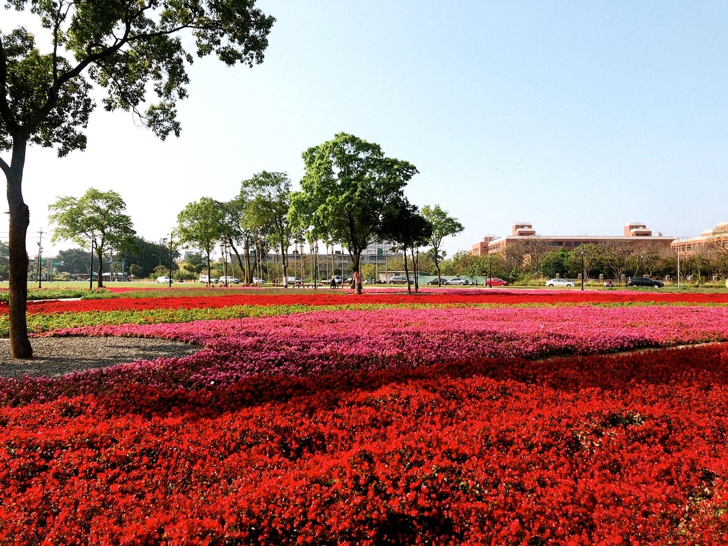 客家公園,客家園區共融式遊戲場