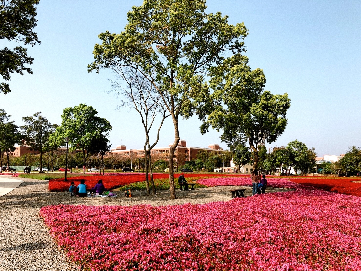 客家公園,客家園區共融式遊戲場